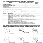 Cell Transport Review Worksheet